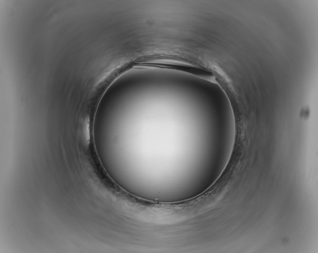 X0000090500020200707201556