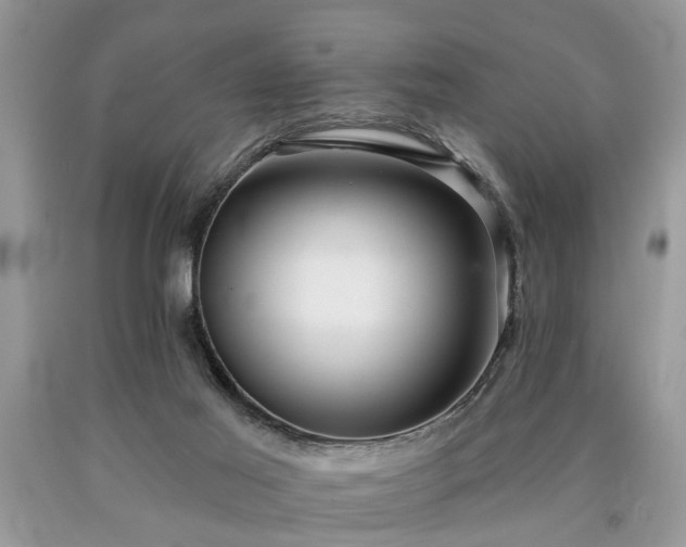 X0000090500021200707201556