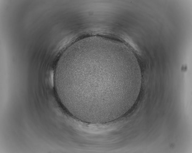 X0000090500022200707201556