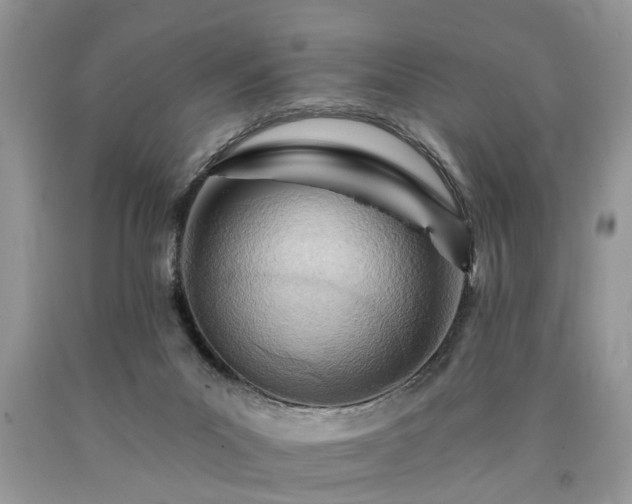 X0000090500023200707201556