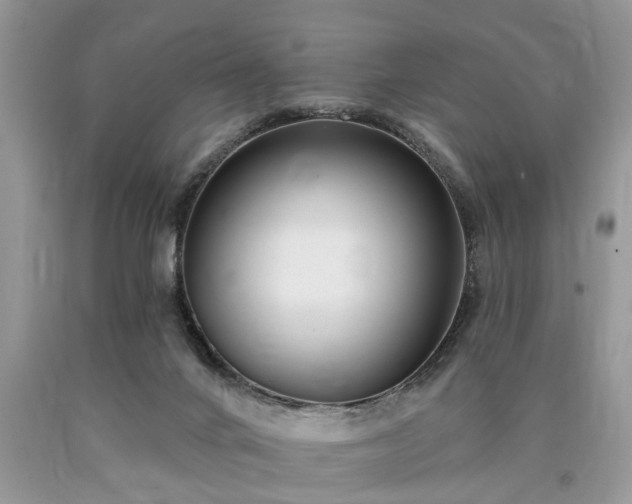 X0000090500024200707201556