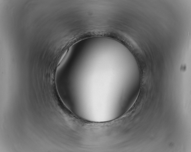 X0000090500025200707201556