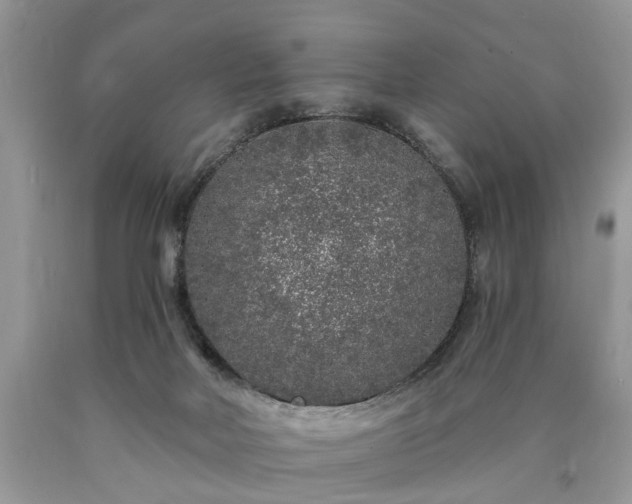 X0000090500026200707201556