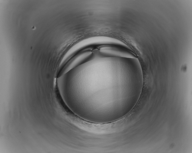 X0000090500027200707201556