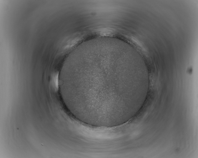 X0000090500028200707201556