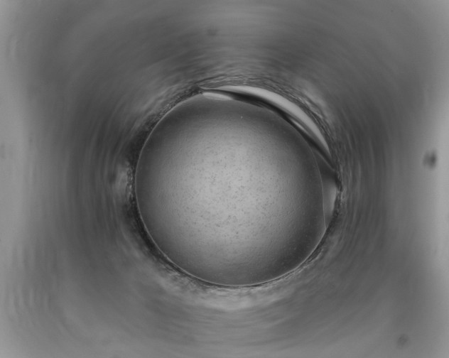 X0000090500029200707201556