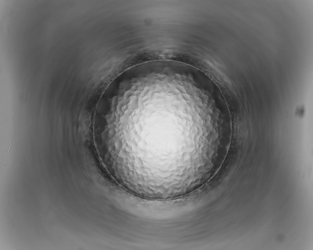 X0000090500030200707201556