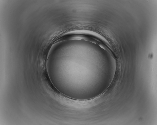 X0000090500031200707201556