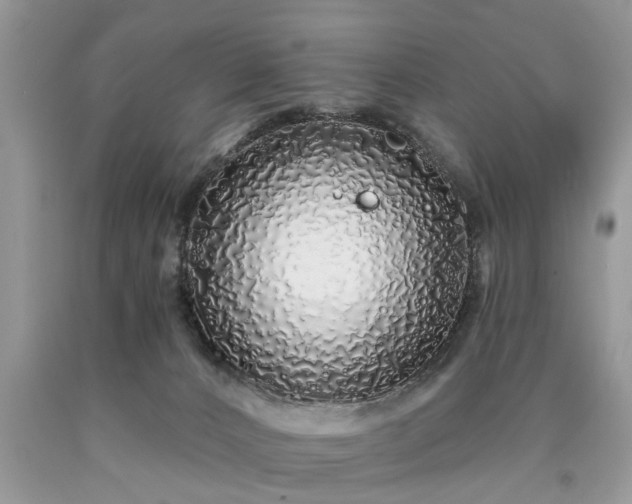 X0000090500032200707201556