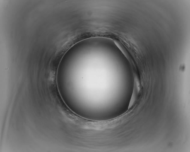 X0000090500033200707201556