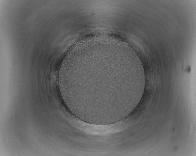 X0000090500034200707201556