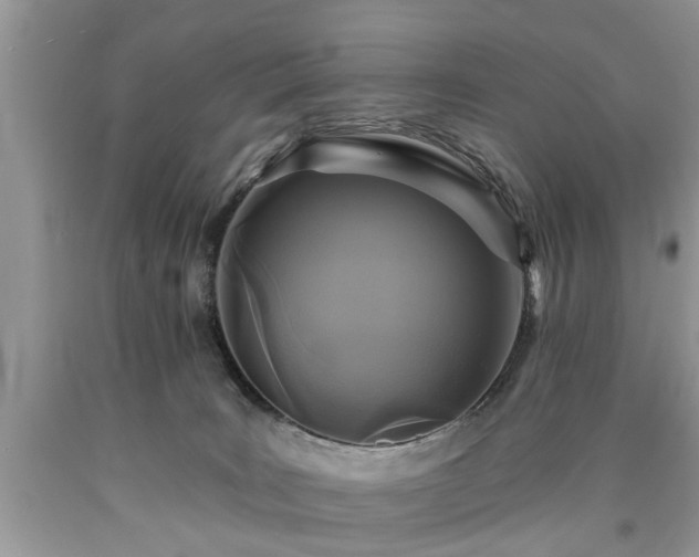 X0000090500035200707201556