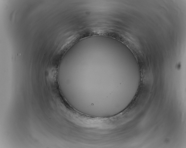 X0000090500036200707201556