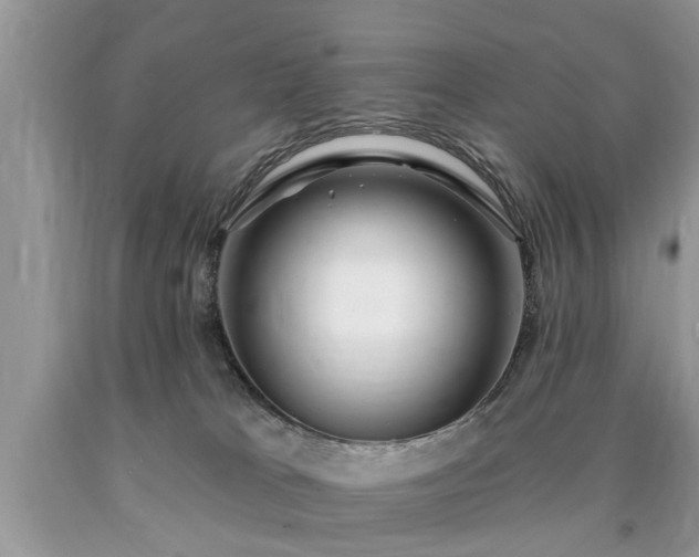 X0000090500037200707201556