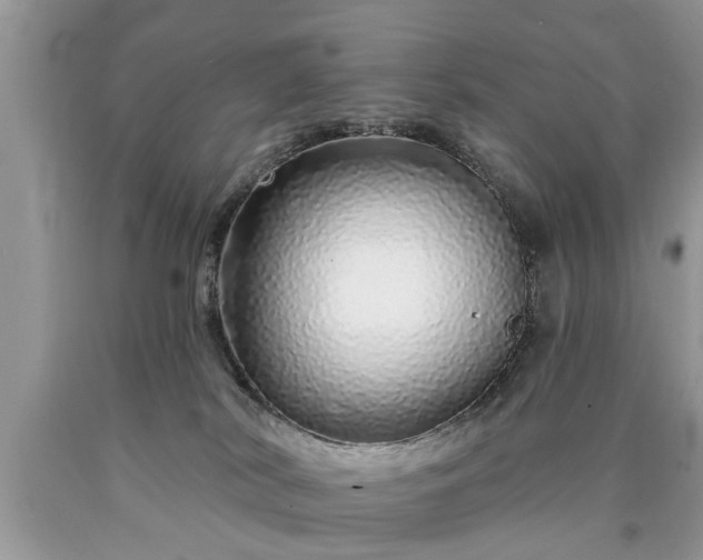 X0000090500038200707201556