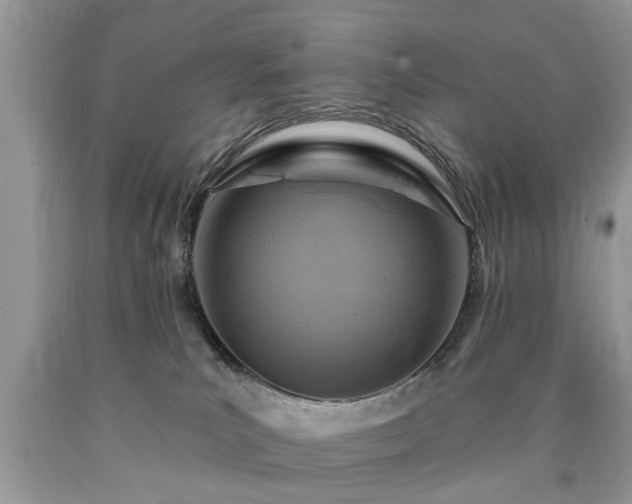 X0000090500039200707201556