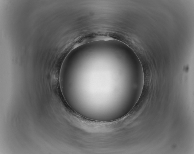 X0000090500040200707201556