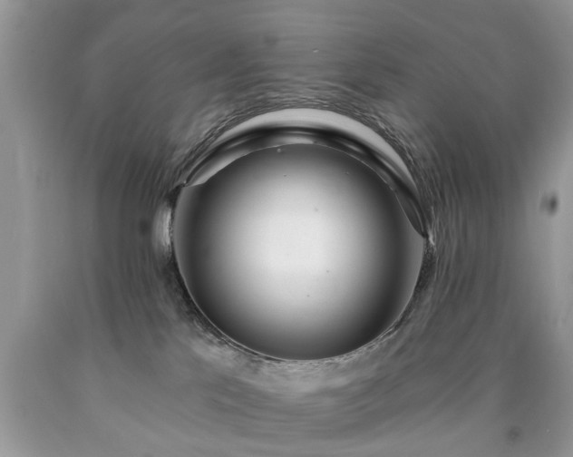 X0000090500041200707201556