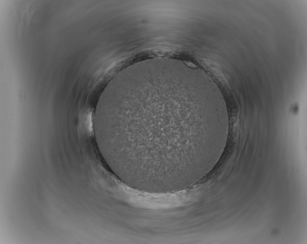 X0000090500042200707201556