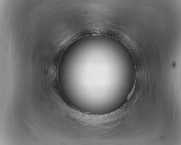 X0000090500043200707201556