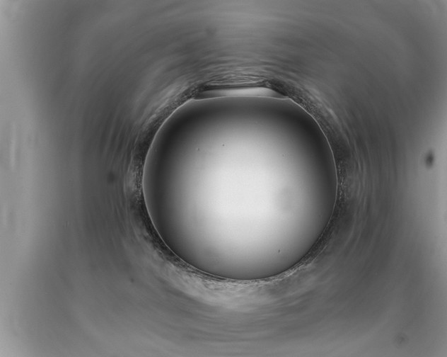 X0000090500044200707201556