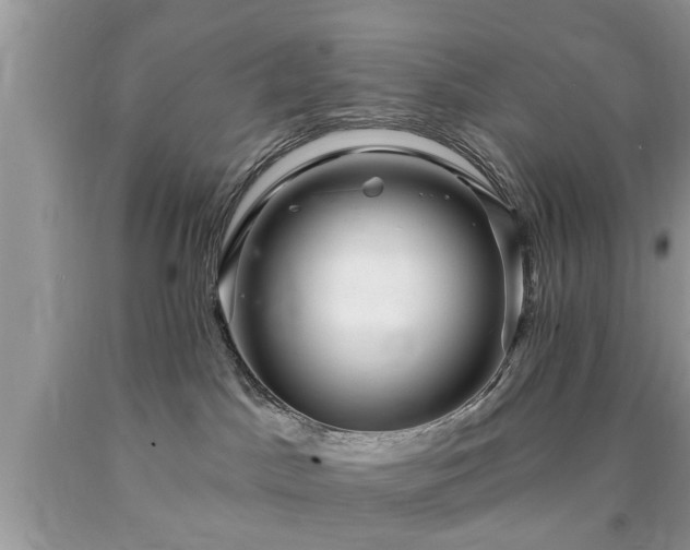 X0000090500045200707201556