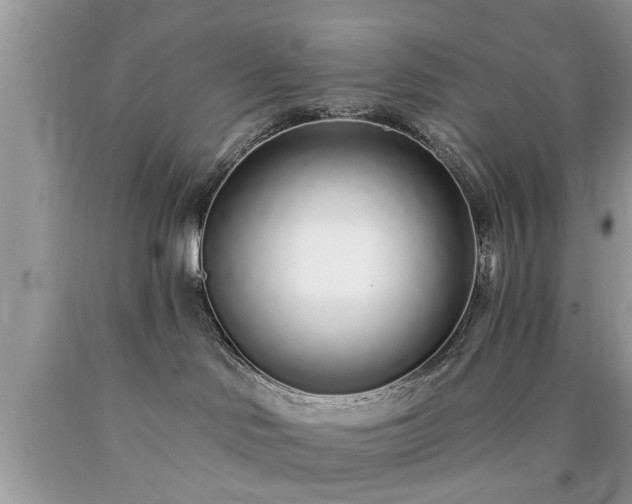 X0000090500046200707201556