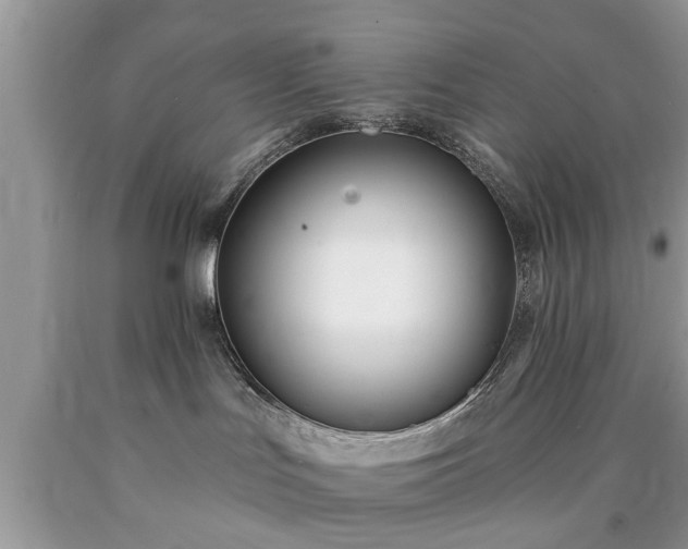 X0000090500047200707201556