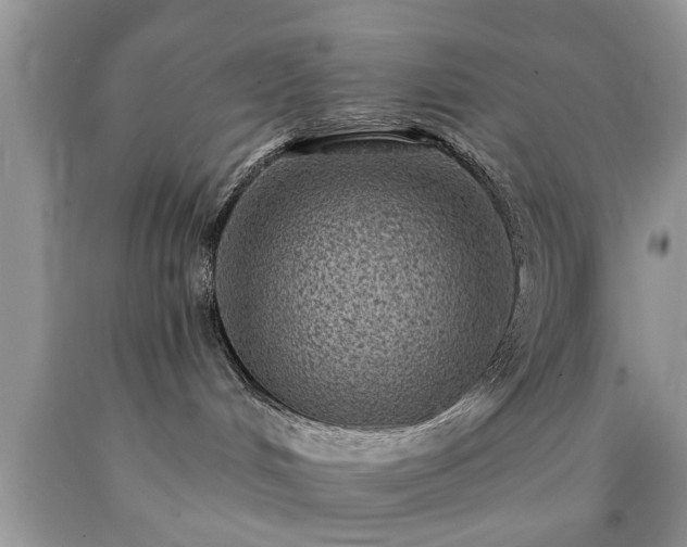 X0000090500048200707201556