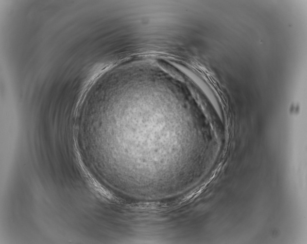 X0000090500049200707201555