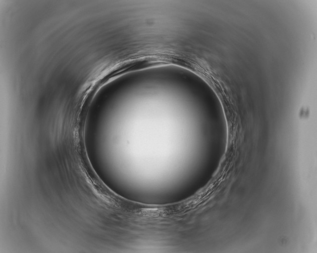 X0000090500050200707201555