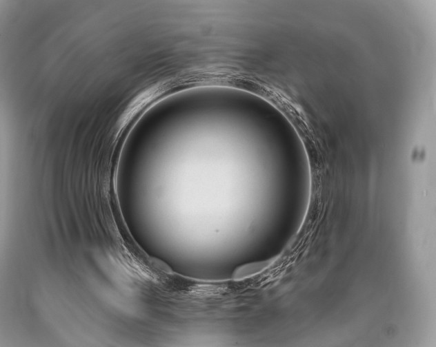 X0000090500051200707201555