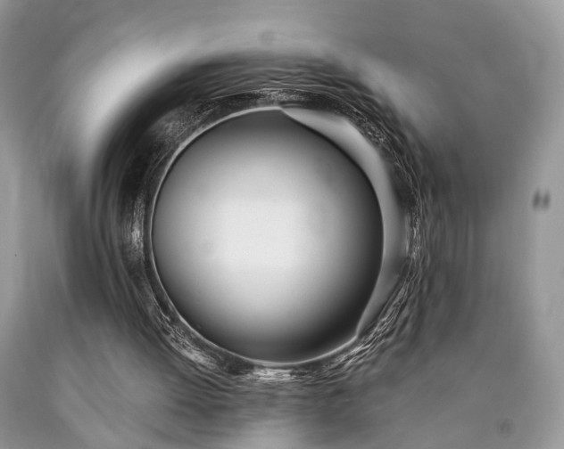 X0000090500052200707201555