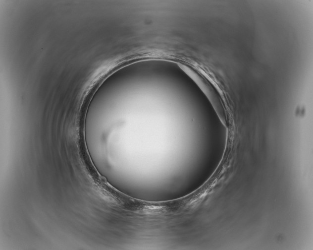 X0000090500055200707201555