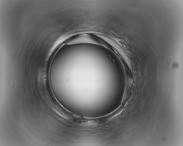 X0000090500056200707201555