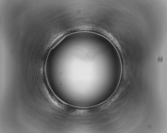 X0000090500057200707201555