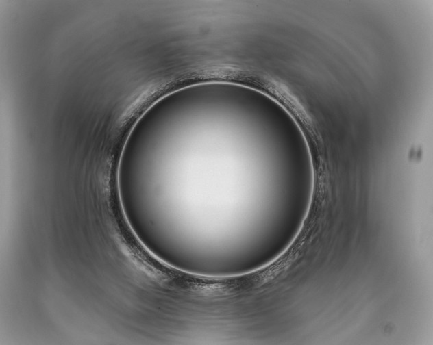 X0000090500058200707201555