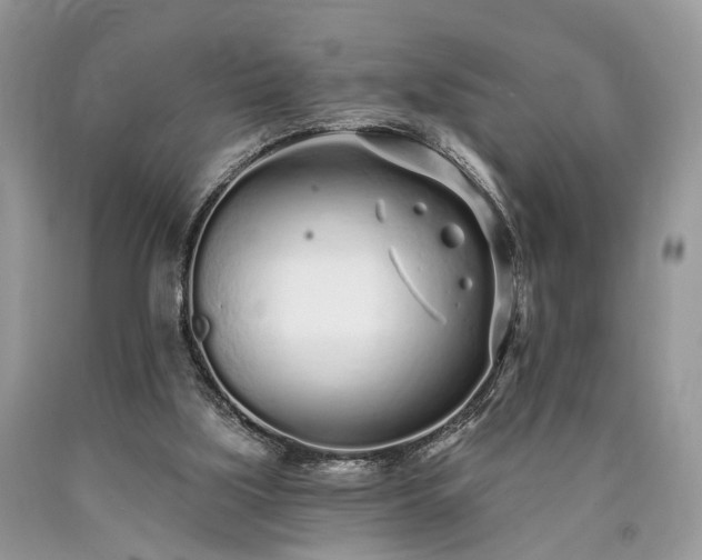 X0000090500059200707201555