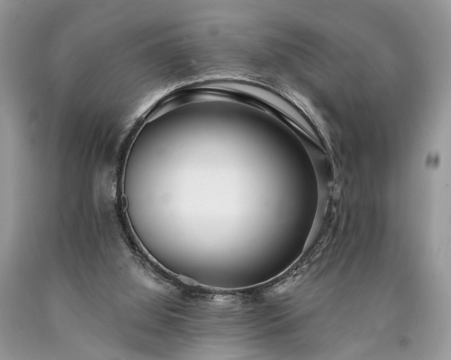 X0000090500060200707201555