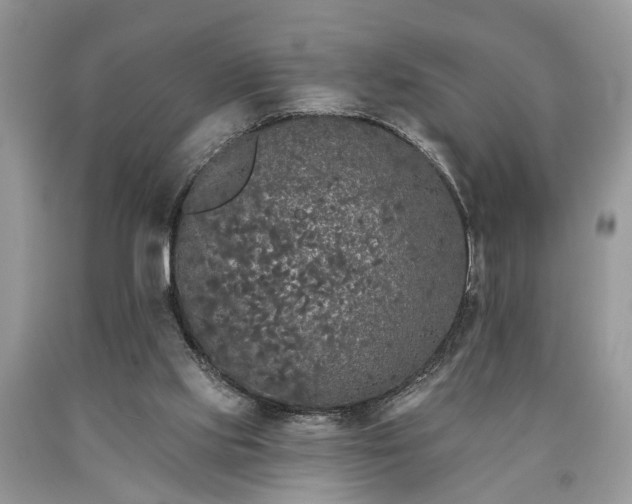 X0000090500061200707201555