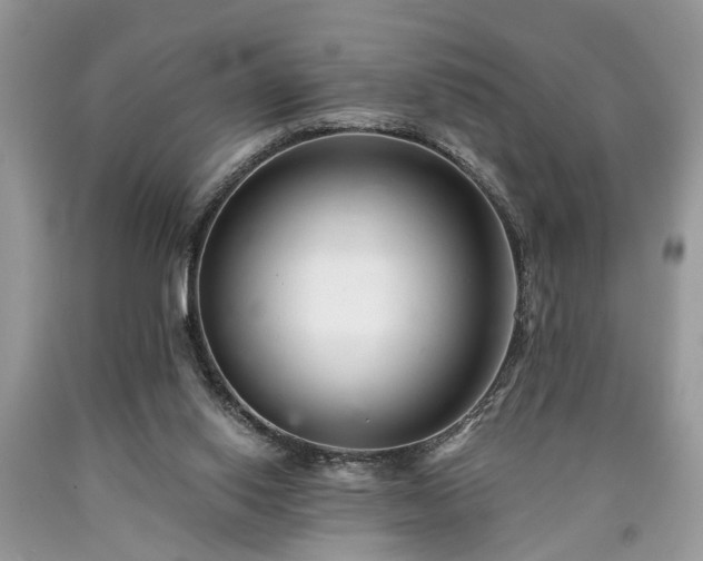 X0000090500062200707201555