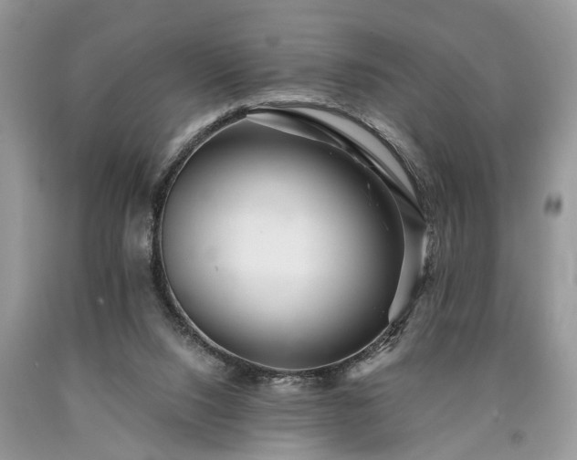 X0000090500064200707201555