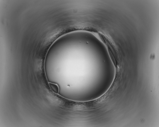 X0000090500066200707201555