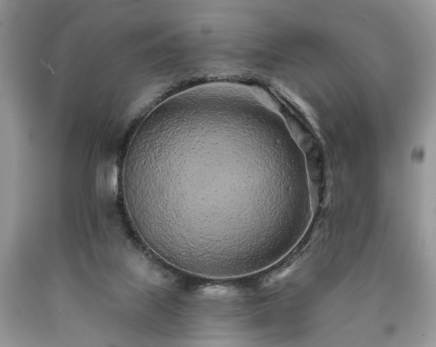 X0000090500067200707201555