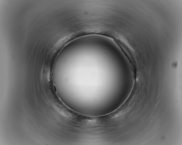 X0000090500068200707201555