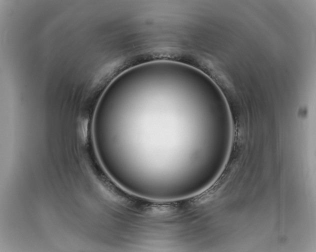 X0000090500070200707201555