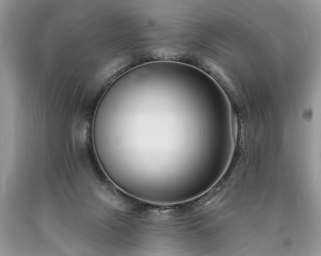 X0000090500071200707201555