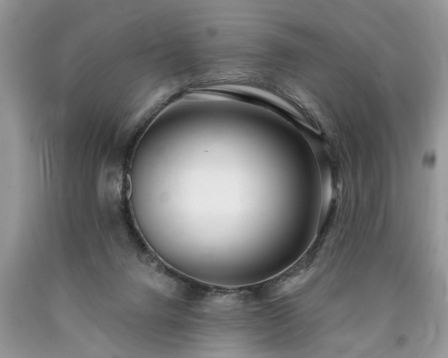 X0000090500072200707201556