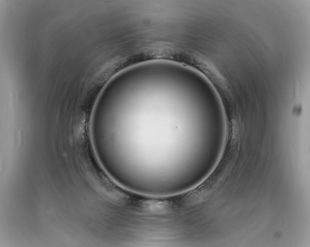 X0000090500073200707201556