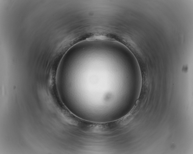 X0000090500074200707201556